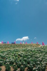 Die Details über unseren Nachbarschaftsort: Herb Island