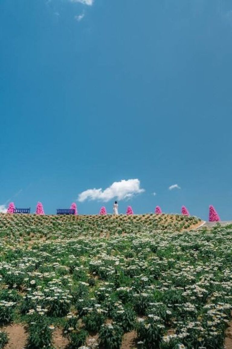 Die Details über unseren Nachbarschaftsort: Herb Island