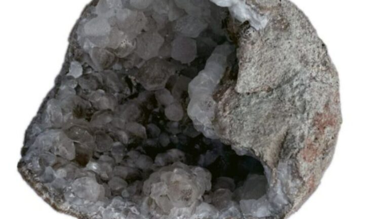 Die Entdeckung eines fossilen Dinosaurier-Eis voller Kristalle