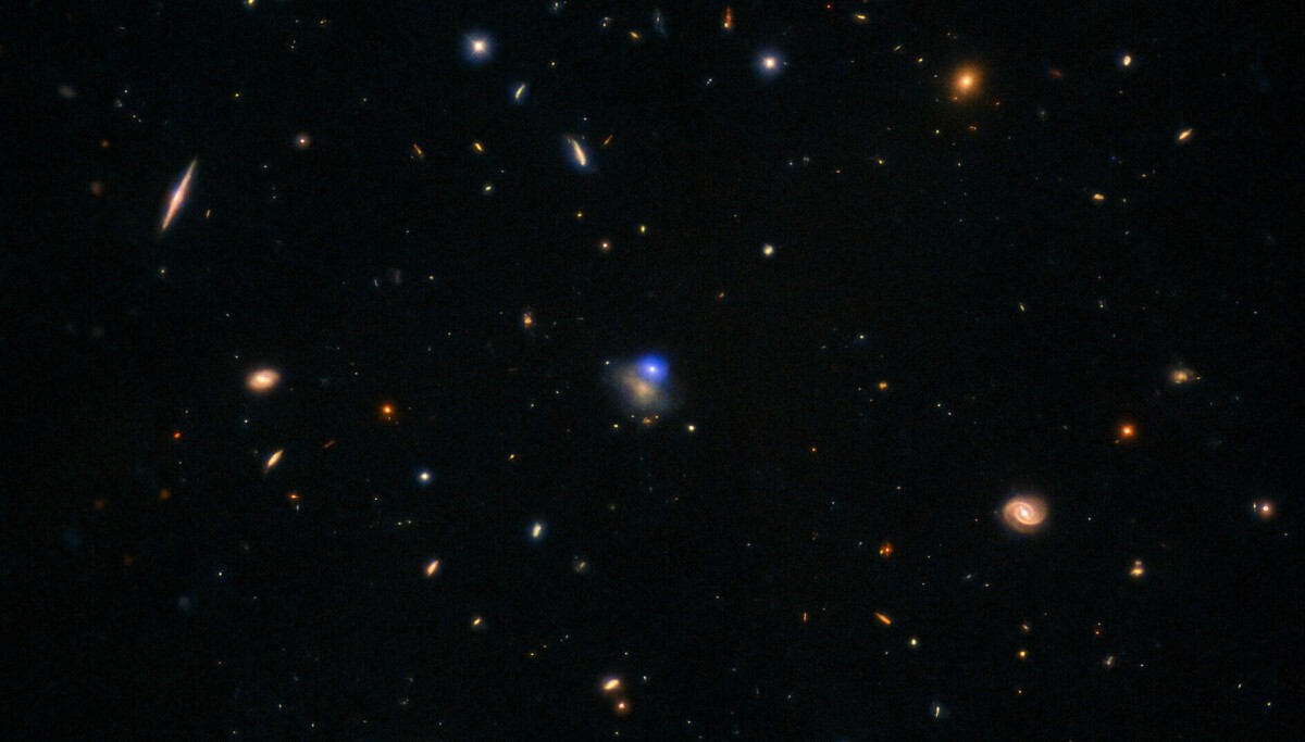 Die faszinierende Entdeckung des LFBOT AT 2024wpp