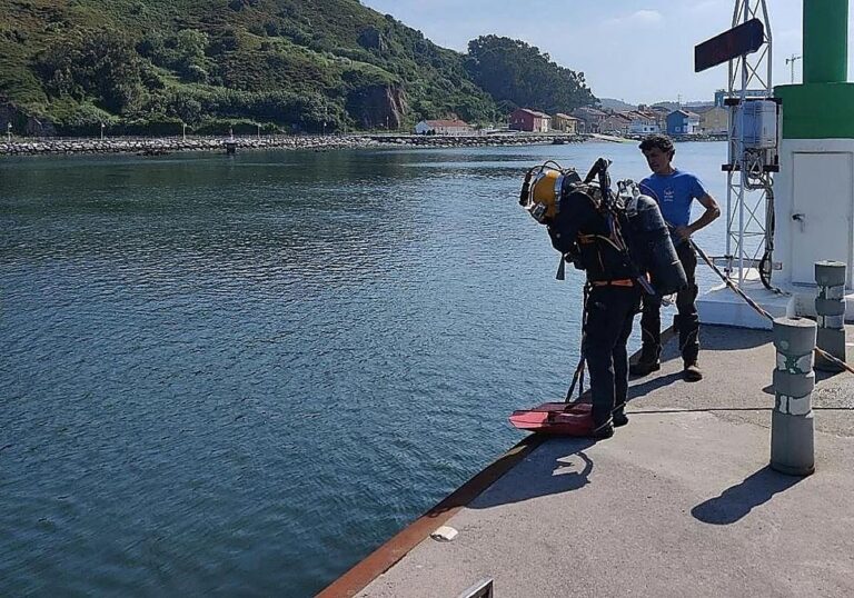 Die Ría von Avilés: Wiederherstellung des Ökosystems durch künstliche Mikorrhiz-Elemente