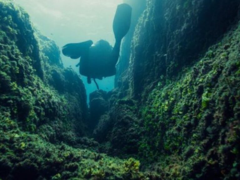 Die Rolle der Unterwasser-Canyons: Neue Erkenntnisse über ihre Entstehung