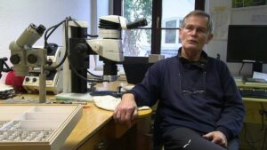 Die Rolle des Ameisenforschers: Ein Besuch bei Bernhard Seifert in Görlitz