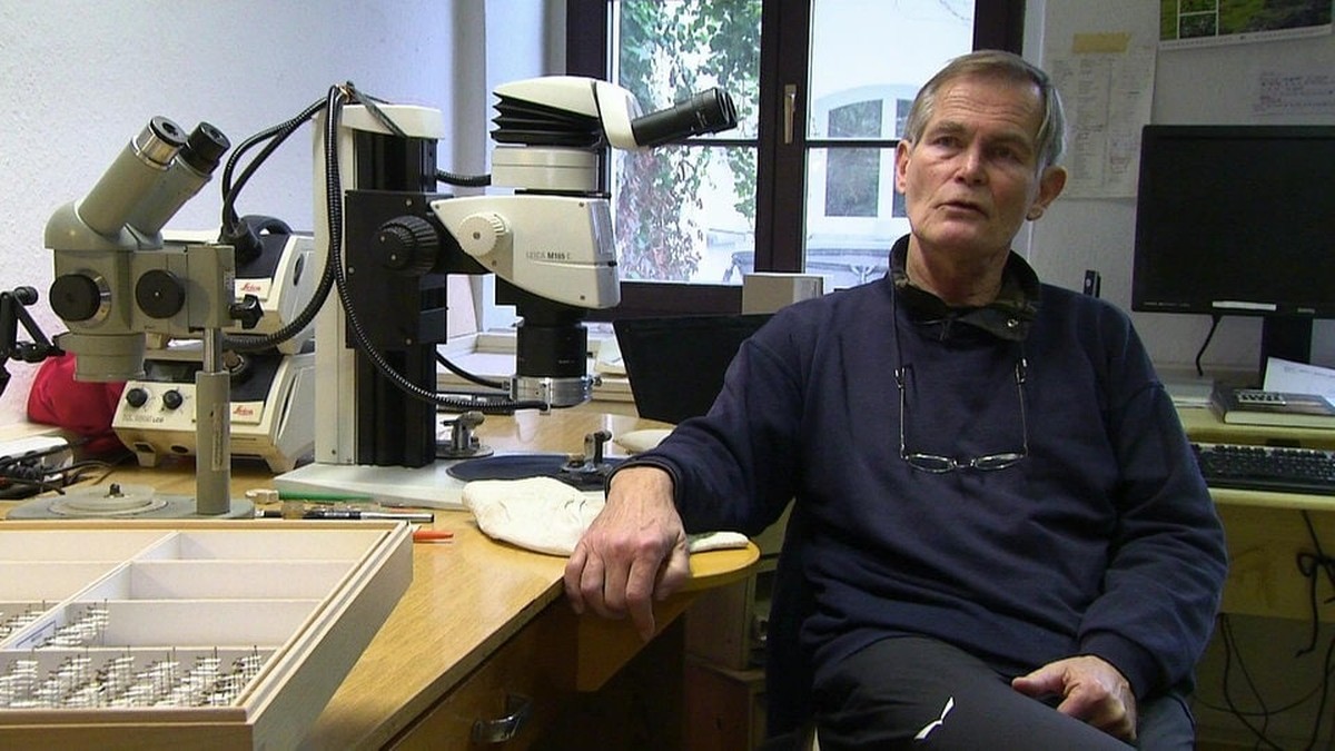 Die Rolle des Ameisenforschers: Ein Besuch bei Bernhard Seifert in Görlitz