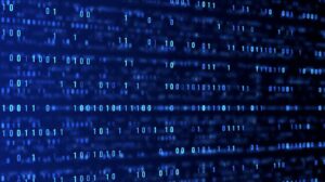 Die Rolle des Nichts: Verständnis von Abwesenheit im menschlichen Gehirn