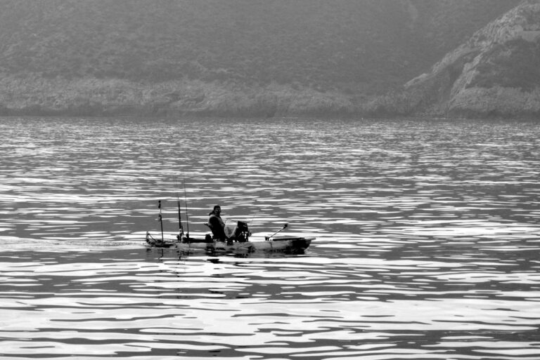 Die Rückkehr von maritimen Arten: Wiederaufforstung des Meeres vor Dénia