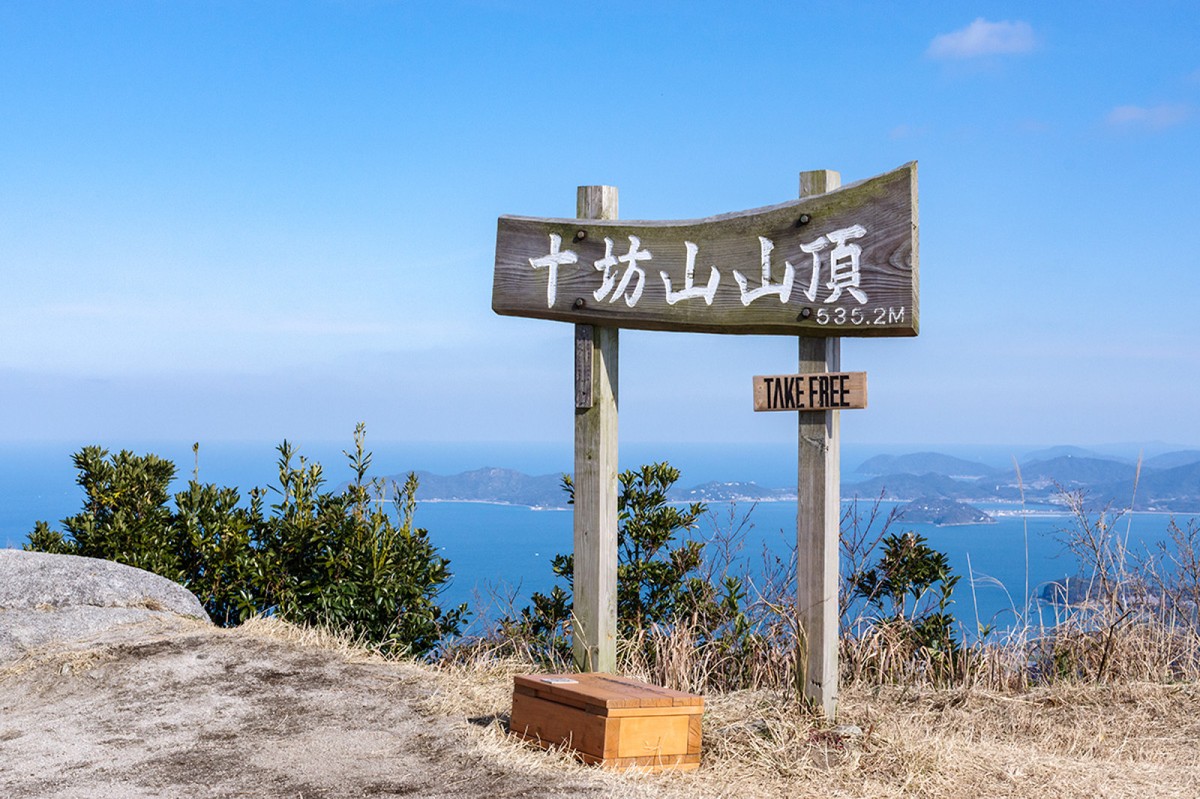 Die Seltene Blüte Im Späten Januar: Der Koshou-Baum Auf Dem Tonbo-Berg, Fukuoka