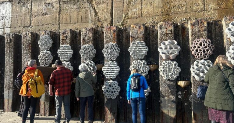 Einführung der größten lebenden Ufermauer im Vereinigten Königreich