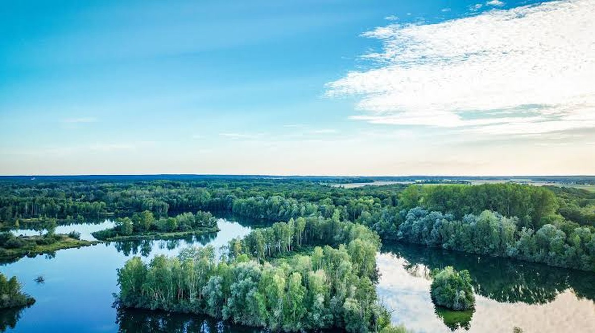 Entdecken Sie 17 emblematische Feuchtgebiete in der Seine-et-Marne