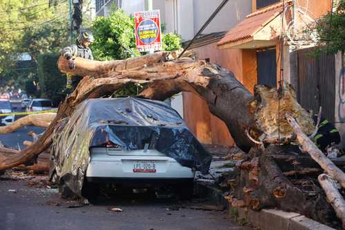 Erdbeben in Guerrero: Ereignisse und Analysen vom 3. Januar 2026