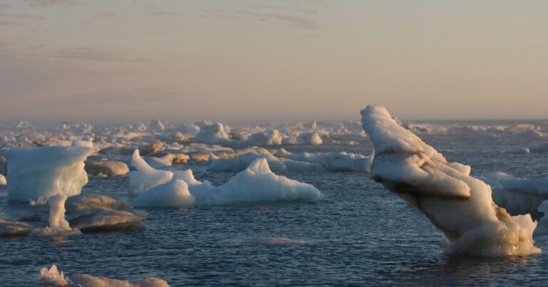 Erste Gletscher-Eisarchiv in der Antarktis eröffnet