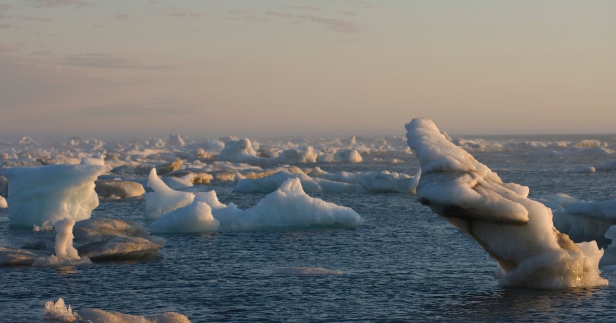 Erste Gletscher-Eisarchiv in der Antarktis eröffnet