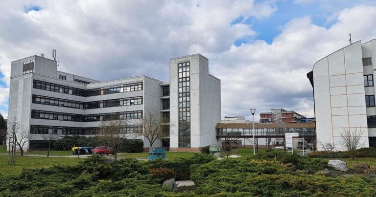 Forschungsteam der Westböhmischen Universität entdeckt neuen Zustand der Materie in zweidimensionalen Kristallen