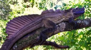 Interessante Artikel über Gesundheit und Wohlergehen