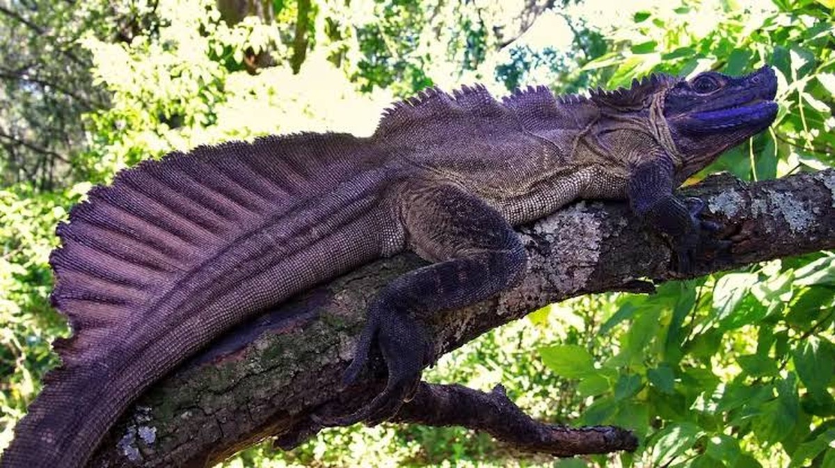 Interessante Artikel über Gesundheit und Wohlergehen