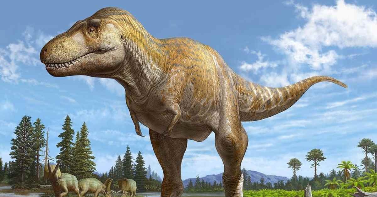 Neue Erkenntnisse über Tyrannosaurus rex