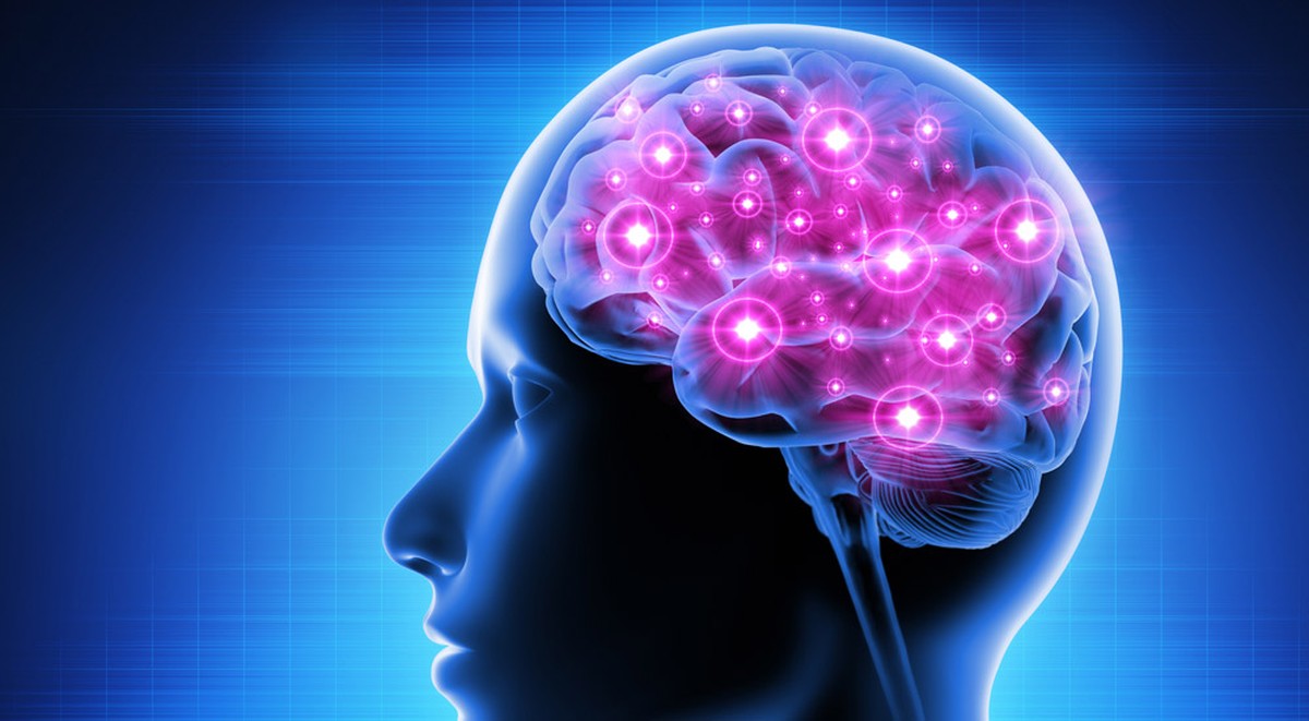 Neuronale Arbeitsteilung im Gedächtnis