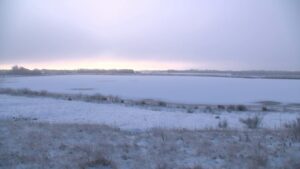 Was machen die Vögel, wenn alles gefriert?