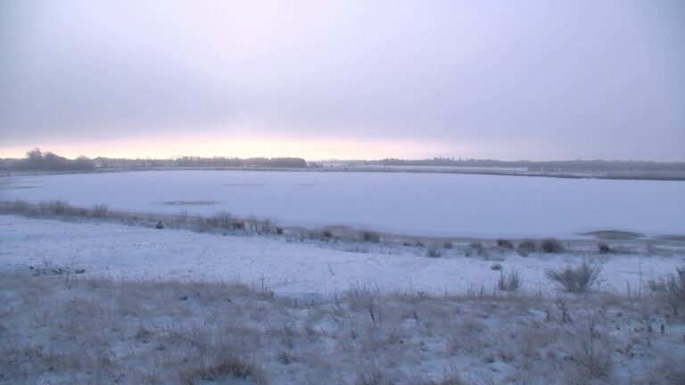 Was machen die Vögel, wenn alles gefriert?