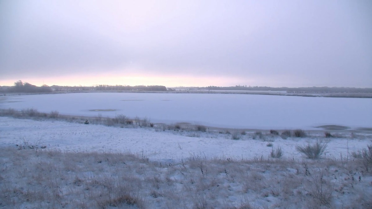 Was machen die Vögel, wenn alles gefriert?