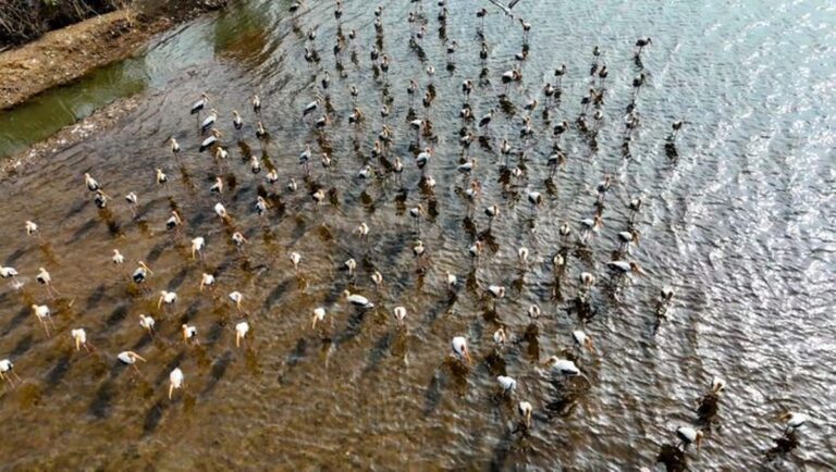 Wassererhaltungsprojekte und Biodiversität in Vidisha