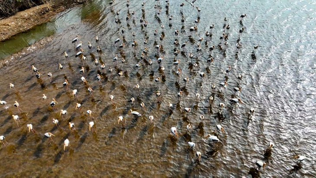 Wassererhaltungsprojekte und Biodiversität in Vidisha