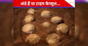 Zeitkapsel gefunden: Dinosaurier-Eier als Zeitmessgeräte