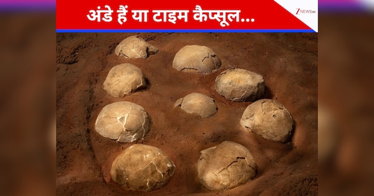 Zeitkapsel gefunden: Dinosaurier-Eier als Zeitmessgeräte