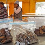 Die Rolle des Nationalen Forstdienstes und der Wildtierverwaltung (Serfor) in der Förderung nachhaltiger Wertschöpfung